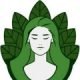 Body and Mind Botanicals