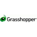 Grasshopper