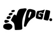 Yogi Footwear